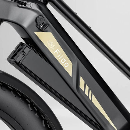 Fiido Titan - Off-road Fat Tyre Cargo Electric Bike - Battery