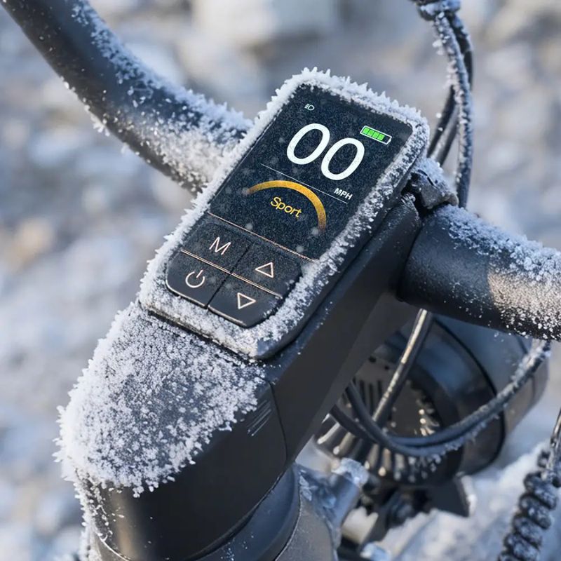 Fiido Titan - Off-road Fat Tyre Cargo Electric Bike - Display