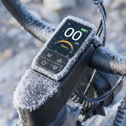 Fiido Titan - Off-road Fat Tyre Cargo Electric Bike - Display