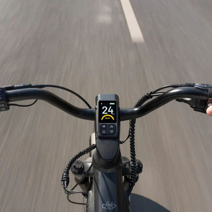 Fiido Titan - Off-road Fat Tyre Cargo Electric Bike - Display