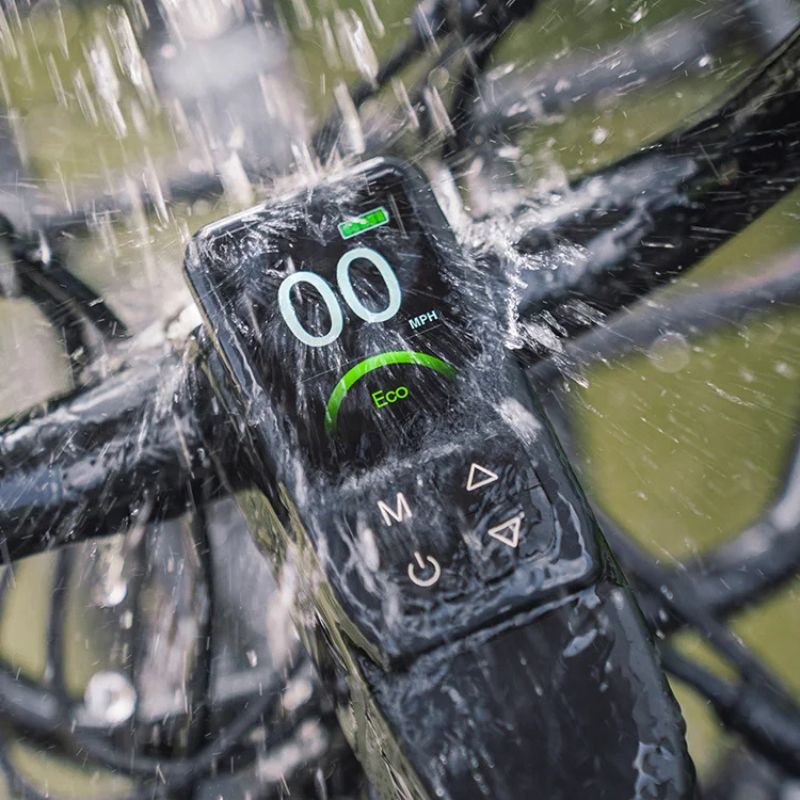 Fiido Titan - Off-road Fat Tyre Cargo Electric Bike - Display