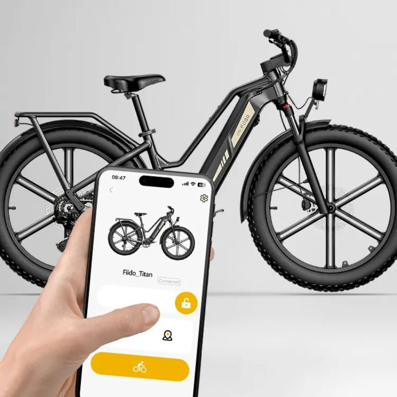 Fiido Titan - Off-road Fat Tyre Cargo Electric Bike - Keyless Lock