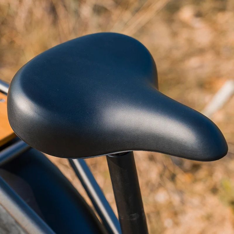 Fiido Titan - Off-road Fat Tyre Cargo Electric Bike - Saddle