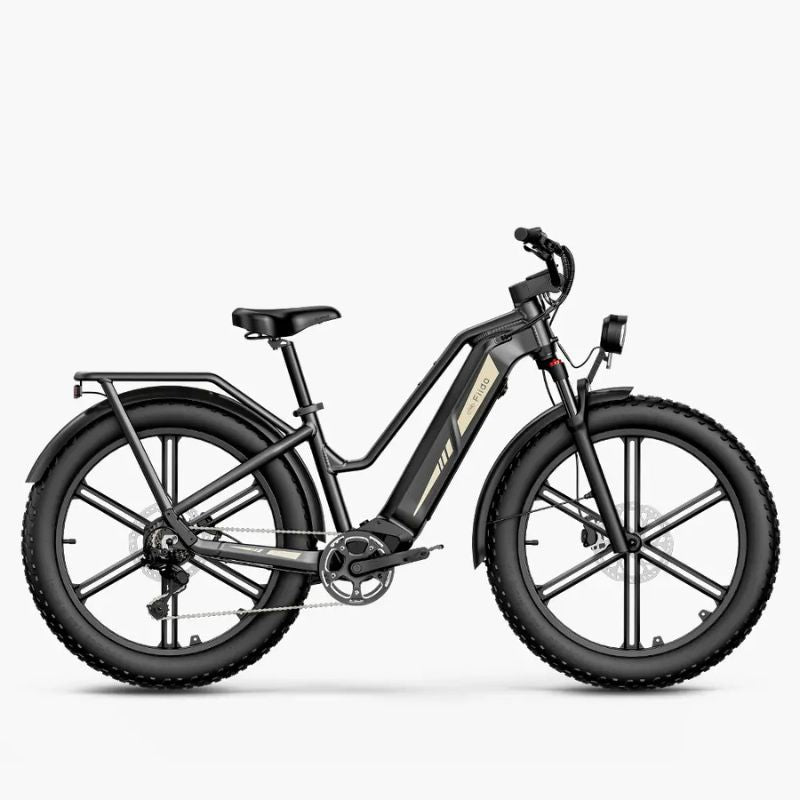 Fiido Titan fat tyre cargo electric bike for men UK with 200kg payload