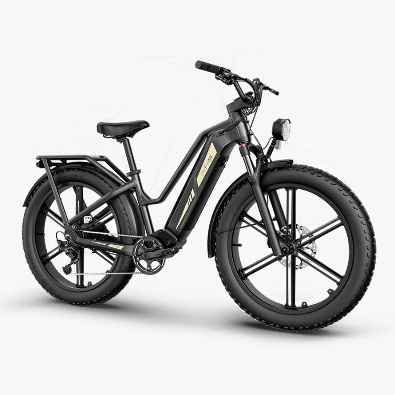 Fiido Titan - Off-road Fat Tyre Cargo Electric Bike