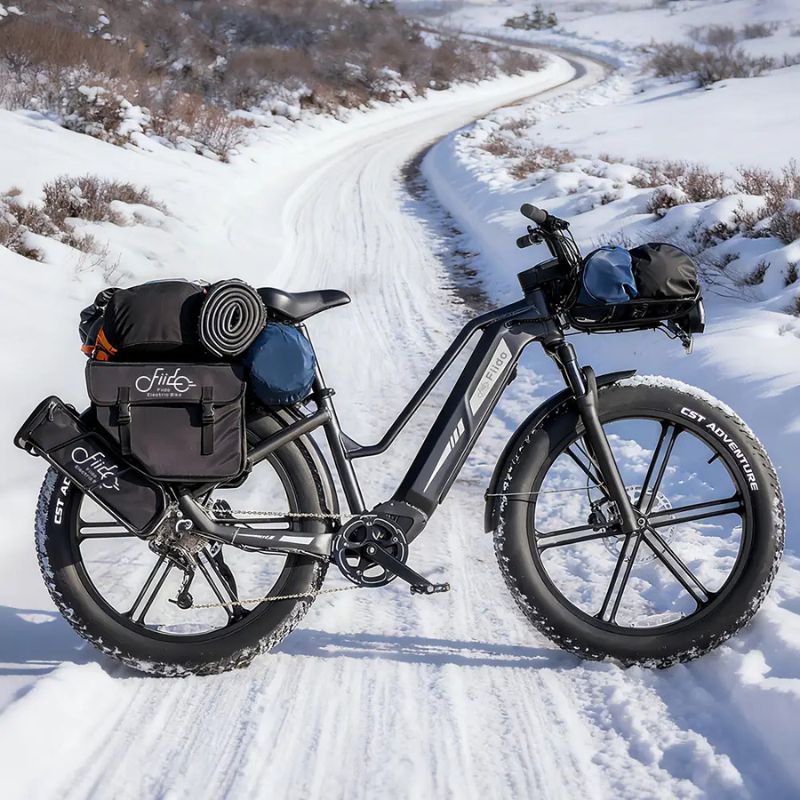 Fiido Titan - Off-road Fat Tyre Cargo Electric Bike