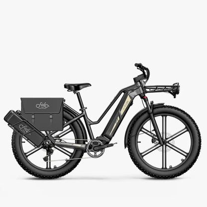 Fiido Titan - Off-road Fat Tyre Cargo Electric Bike